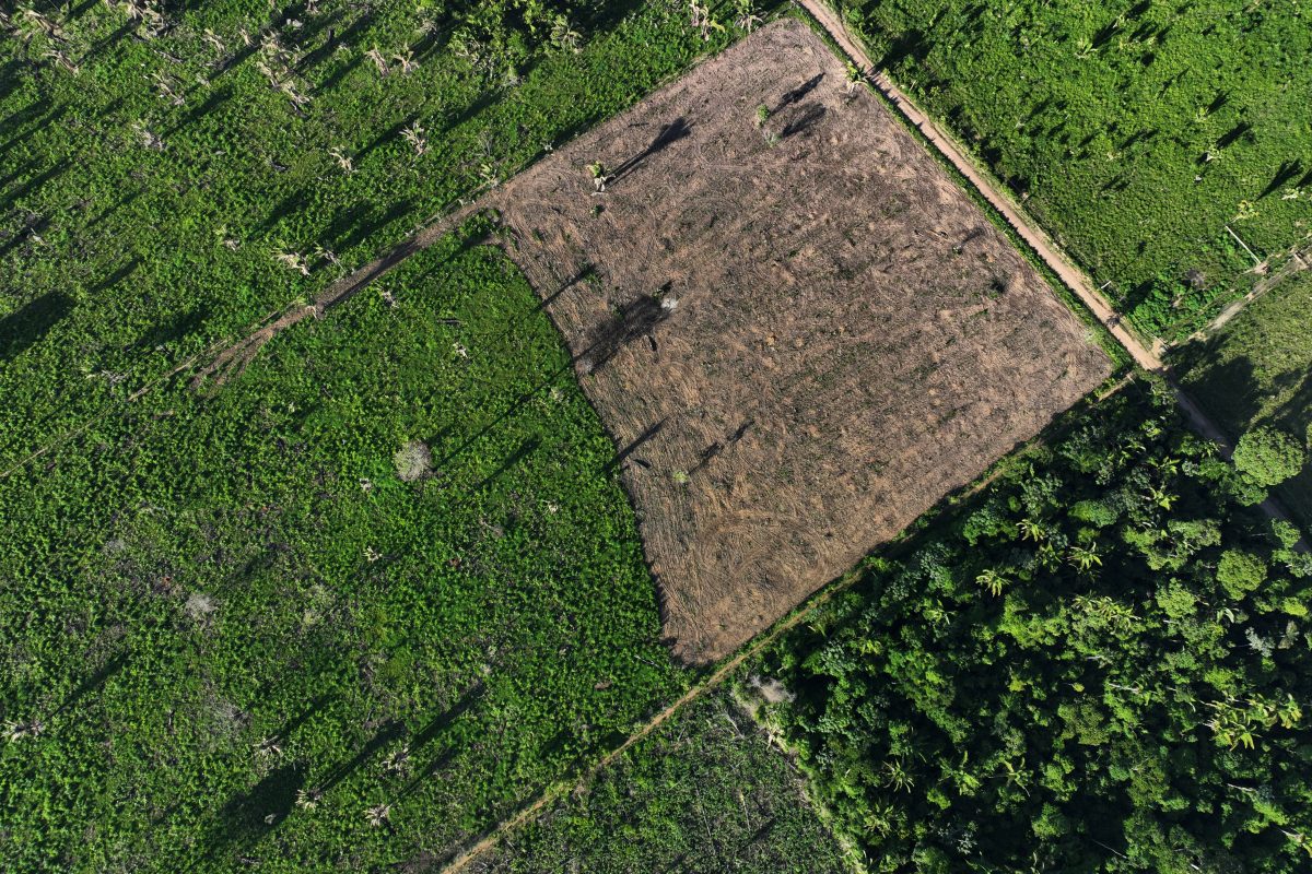 FILE PHOTO: An aerial view shows a deforested area during an operation to combat deforestation at the Cachoeira Seca indigenous reserve, in Uruara, Para State, Brazil January 19, 2023. REUTERS/Ueslei Marcelino