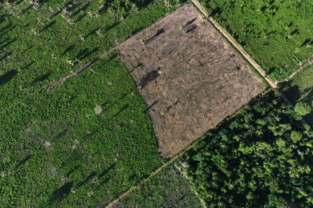 FILE PHOTO: An aerial view shows a deforested area during an operation to combat deforestation at the Cachoeira Seca indigenous reserve, in Uruara, Para State, Brazil January 19, 2023. REUTERS/Ueslei Marcelino