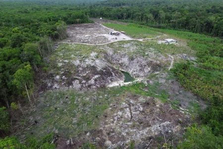 The area where the homes will be located (CH&PA photo)