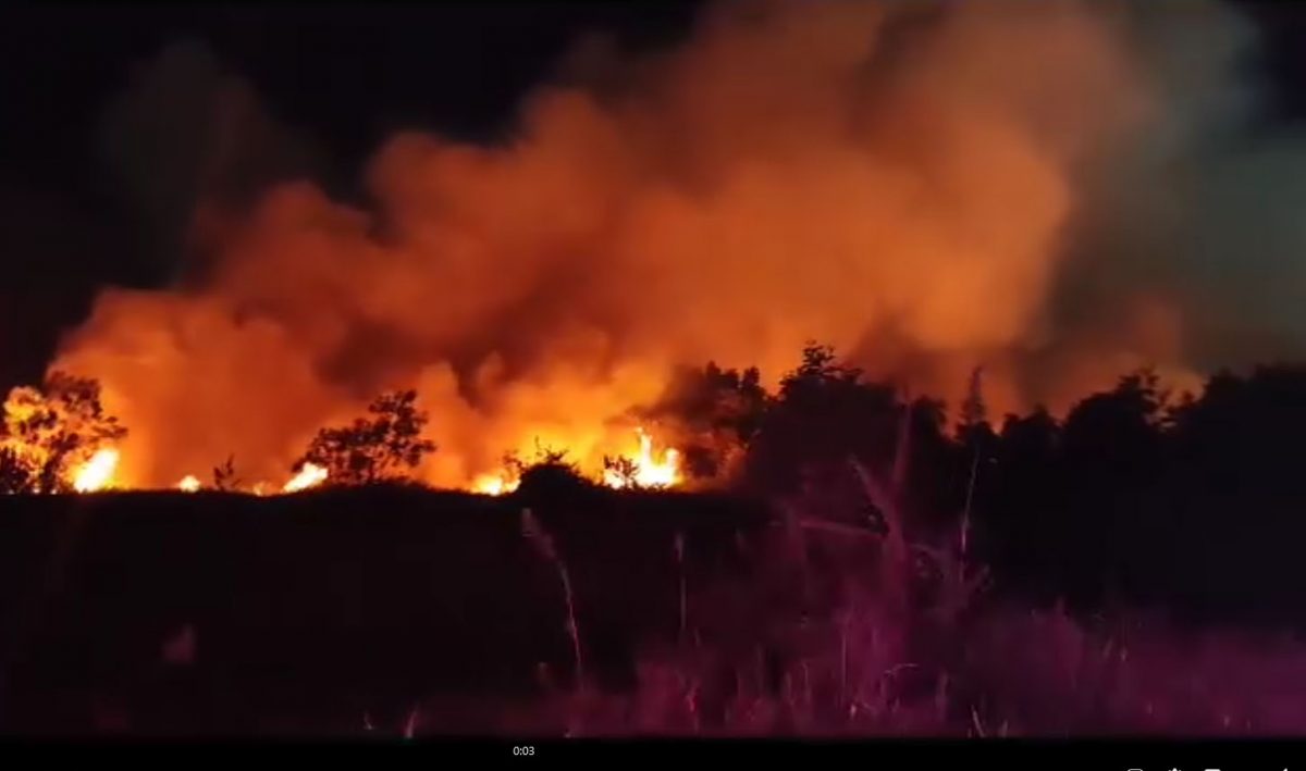 A screenshot of the fire