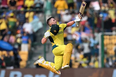 David Warner leaps for joy after reaching three figures yesterday