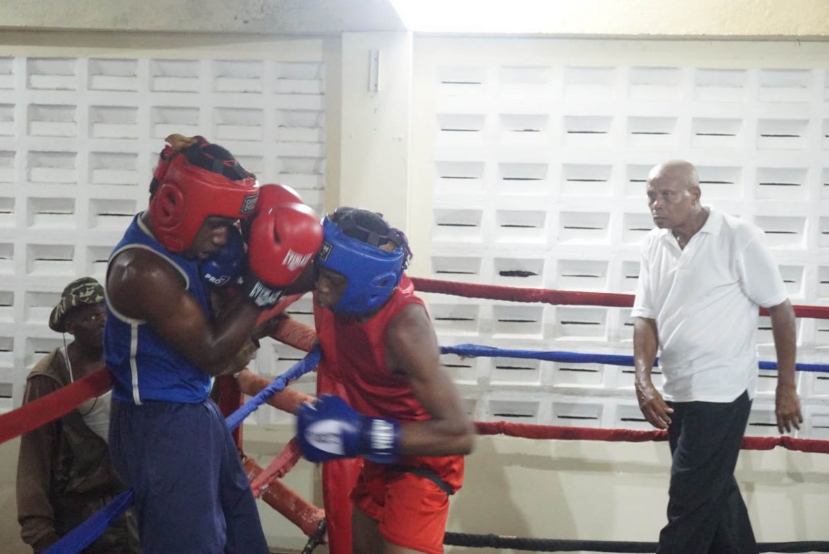 Shakquain James (right) breaches the defence of Shemroy Wintz during their entertaining duel. James went on to win the bout on points.