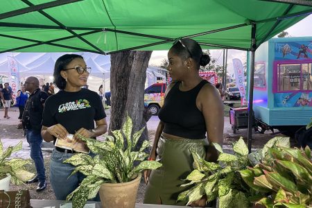 Tourism Minister Oneidge Walrond (left) engaging a participant in the Guyexpo event