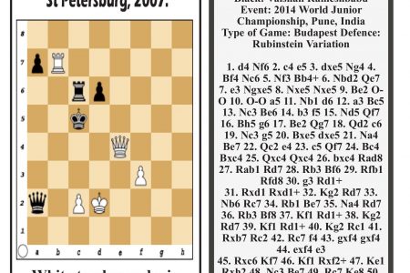 Nepomniachtchi to challenge Carlsen for world title - Stabroek News