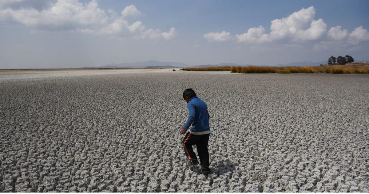 The dried lake (Reuters photo)