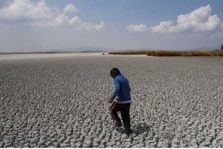 The dried lake (Reuters photo)