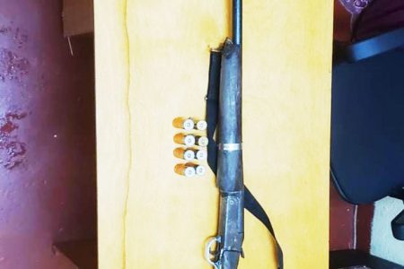 12- gauge shotgun along with eight 12-gauge cartridges
