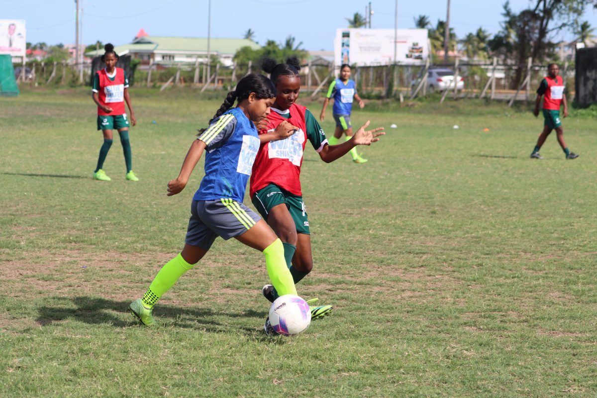 A scene from an exhibition match between Tucville and Potaro following the official announcement of the 2024 edition