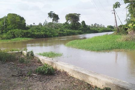 The creek with salt water