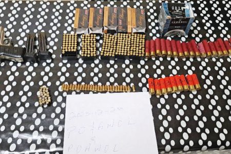 The firearm, magazines, ammunitions and spent shells
