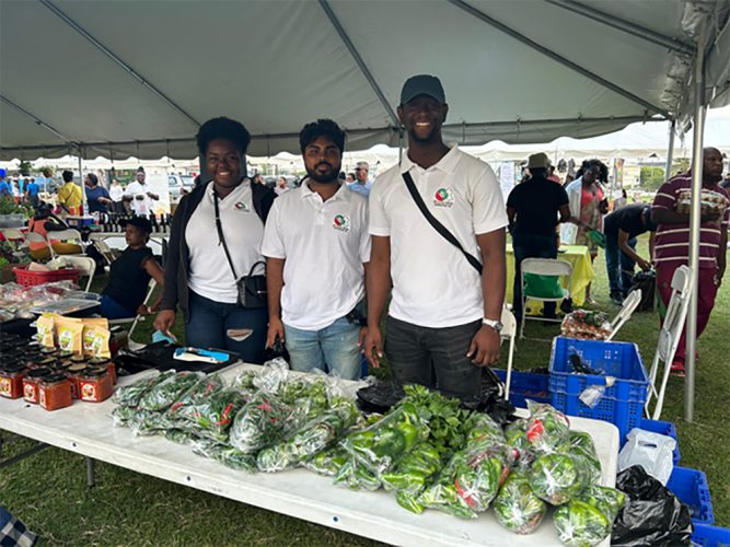 President’s Shade House Initiative: President Shade House Initiative Showcases Agricultural Success at Local Farmers Market