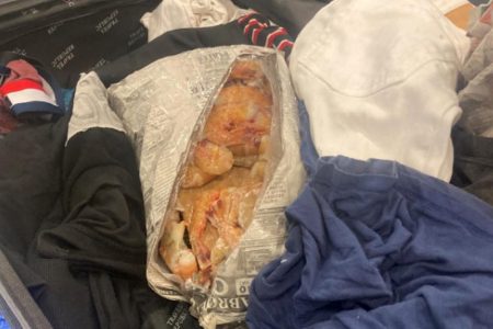 The shrimp in Zacharie Scott’s suitcase (New York Post photo)