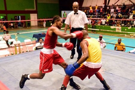 Boxing returns to the National Gymnasium on Friday in the form of a Senior Developmental Championship
