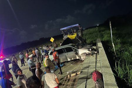 The scene of the crash (Police photo)