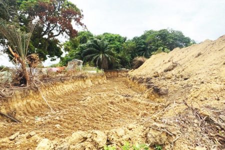 The excavated area