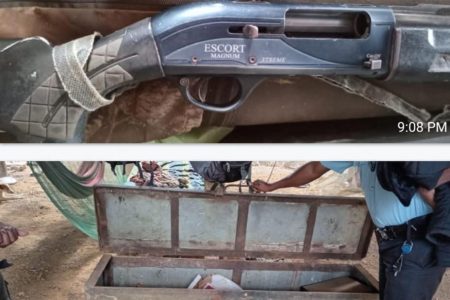 The shotgun and the box in which it was found (Police photo)
