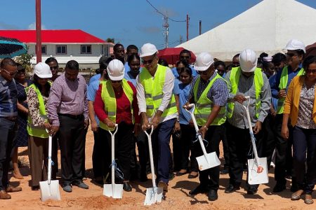 The sod-turning
