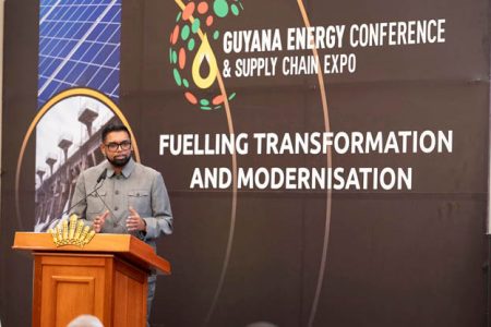President Ali at Energy Conference 2024