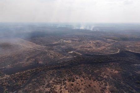 A drone view of smoke from burning vegetation rising in a rainforest at the municipality of Bonfim, state of Roraima, Brazil February 28, 2024. REUTERS/Bruno Kelly/File Photo