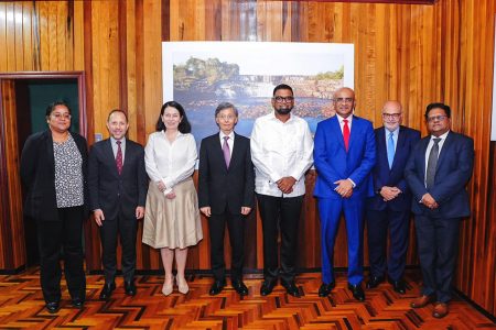 The IMF team with President Irfaan Ali (fifth from left) and other government officials (Ministry of Finance photo)