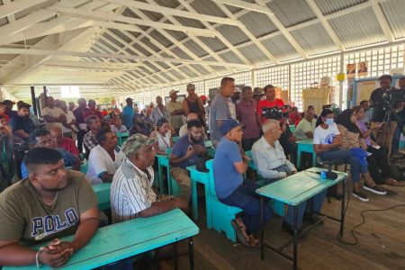 Farmers at a meeting on the paddy bugs.