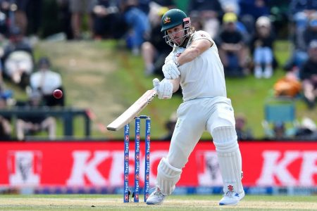 Mitchell Marsh’s aggressive 80 was vital in the chase for the visitors
