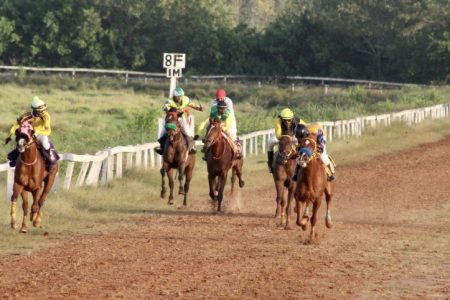 A scene from the previous Horse Meet at the Port Mourant Turf Club 