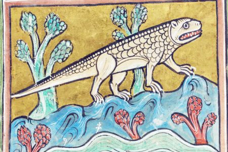 A Mediaeval depiction of a reptile