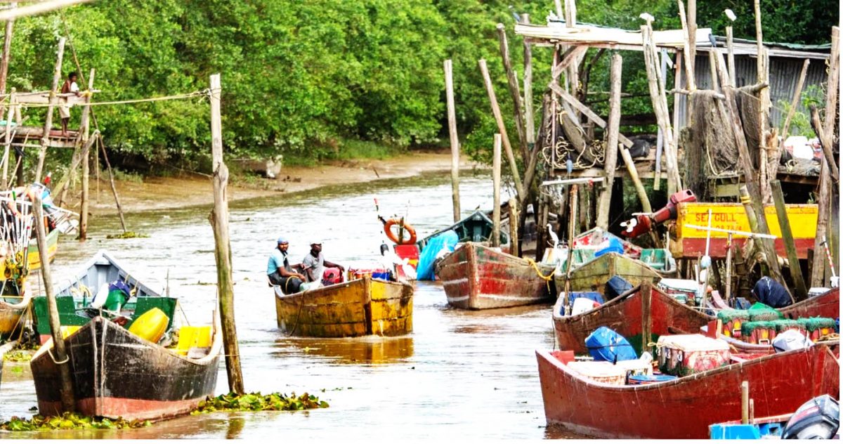 The fisheries sector in Guyana provides jobs for thousands of artisanal fishers