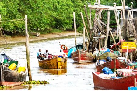 The fisheries sector in Guyana provides jobs for thousands of artisanal fishers