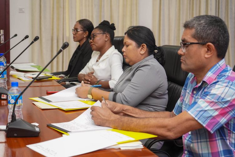 Attendees at the meeting (Ministry of Foreign Affairs photo)