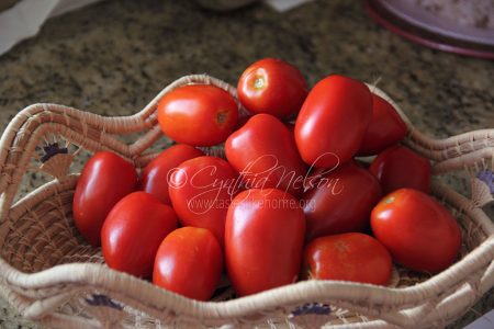 In-season Roma Tomatoes (Photo by Cynthia Nelson)
