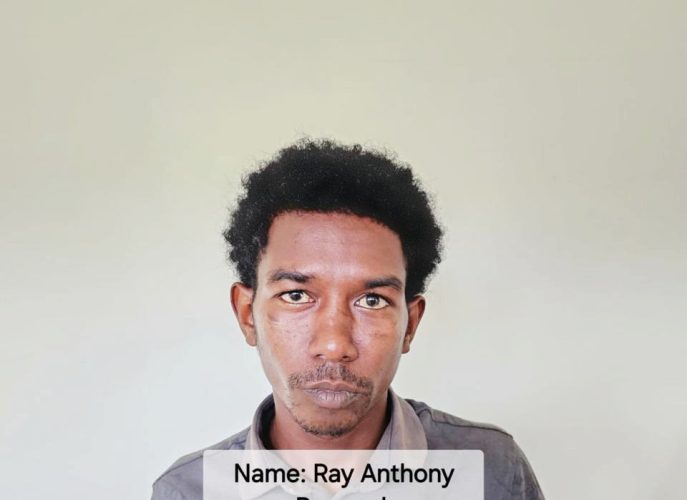 Ray Anthony Persaud