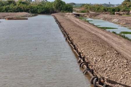 Revetment works completed at the Albion sugar estate