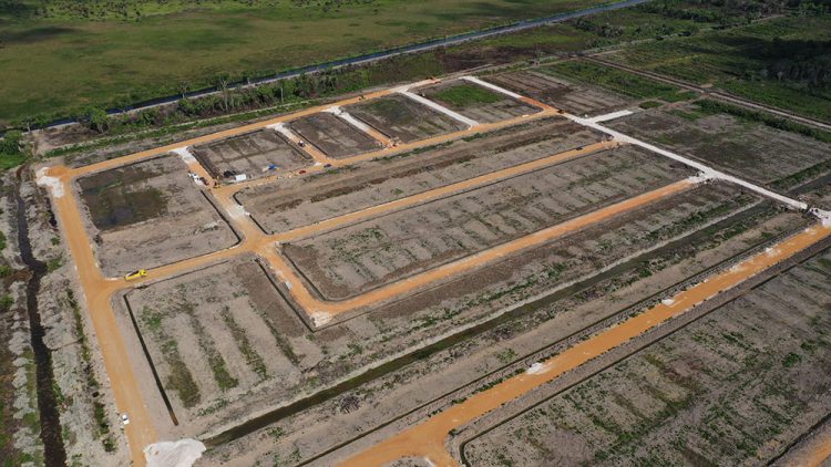 An aerial view of the Golden Grove blocks (CH&PA photo)