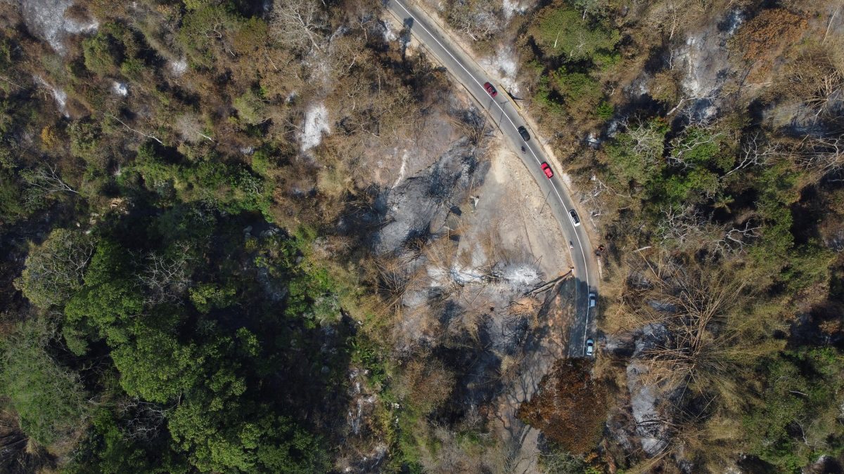 A drone view shows a burned forest after a forest fire in Henri Pittier National Park, in Maracay, Venezuela March 30, 2024. REUTERS/Leonardo Fernandez Viloria