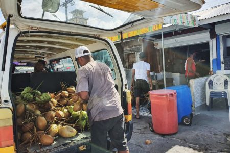 A coconut water distributor yesterday doing rounds at the Bourda Market