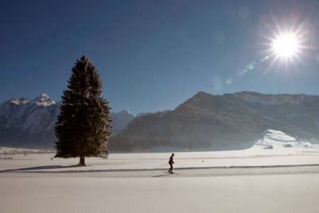 A cross-country skier is seen in the snow-covered landscape during sunny winter weather near Unteriberg, Switzerland January 20, 2017. REUTERS/Arnd Wiegmann