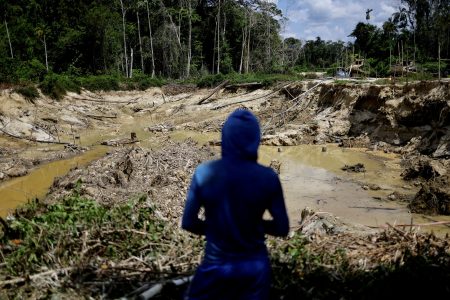 An illegal miner looks at a destroyed forest area, while being detained by a members of the Special Inspection Group from the Brazilian Institute of Environment and Renewable Natural Resources (IBAMA) during an operation against illegal mining in Yanomami Indigenous land, Roraima state, Brazil, December 6, 2023. REUTERS/Ueslei Marcelino/File Photo