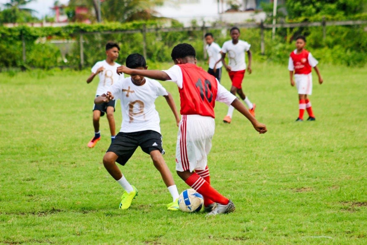 Part of the action between Richmond and Good Hope (red)
