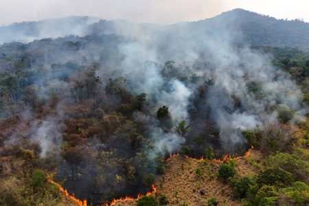 A drone view of fire and smoke from burning vegetation rising in a rainforest in Canta, state of Roraima, Brazil February 29, 2024. REUTERS/Bruno Kelly