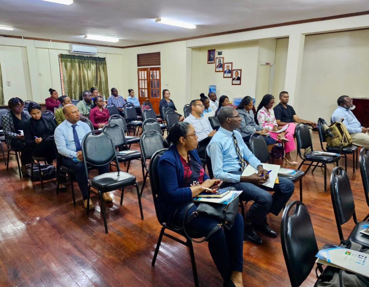 Participants at the Ministry of Natural Resources workshop (Ministry of Natural Resources photo)