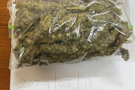 The 195.7 grammes of cannabis
