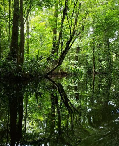 Inside Haimaruni Creek