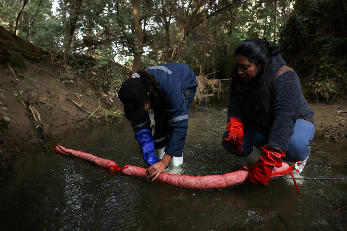 Members of Matter of Trust Chile prepare to place a tube-like device made from human hair as part of ‘Petropelo’, a system that utilizes hair’s natural absorbent qualities to clean waterways of oils, heavy metals, and even bacteria, in Laguna Verde area, Chile May 28, 2024. REUTERS/Ivan Alvarado