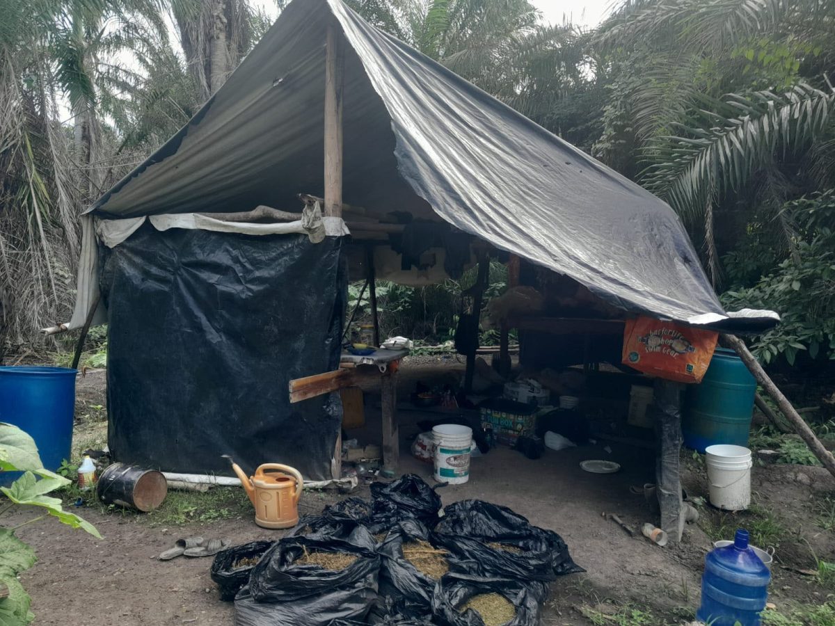 The camp that was found (Police photo)
