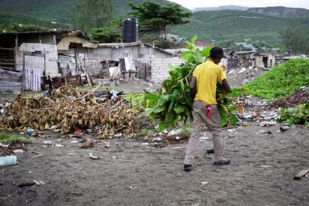 A man removing tree branches in Caribbean Terrace neighbourhood as Hurricane Beryl approached, in Kingston, Jamaica, July 3, 2024. REUTERS/Marco Bello/File Photo Purchase Licensing Rights