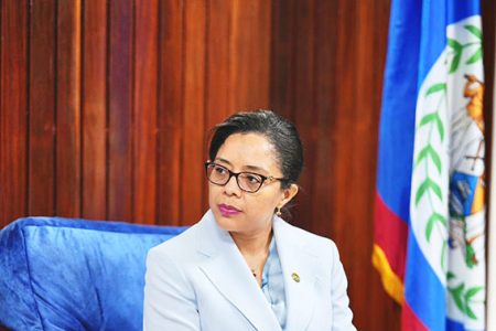 Gale Miller-Garnett at the Office of the President in 2023 after presenting her Letters of Credence to President Irfaan Ali