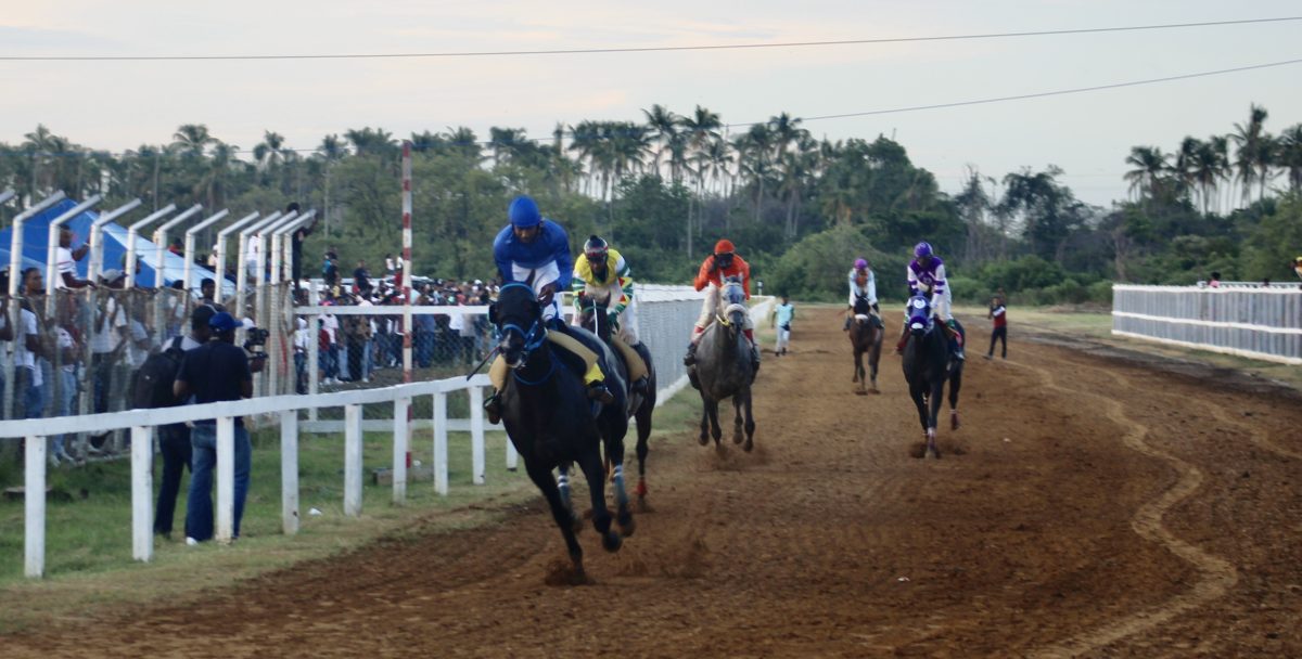 Control! Easy Time is in total control en route to victory in the feature event of the Port Mourant Turf Club CARICOM horse race meet