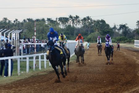 Control! Easy Time is in total control en route to victory in the feature event of the Port Mourant Turf Club CARICOM horse race meet